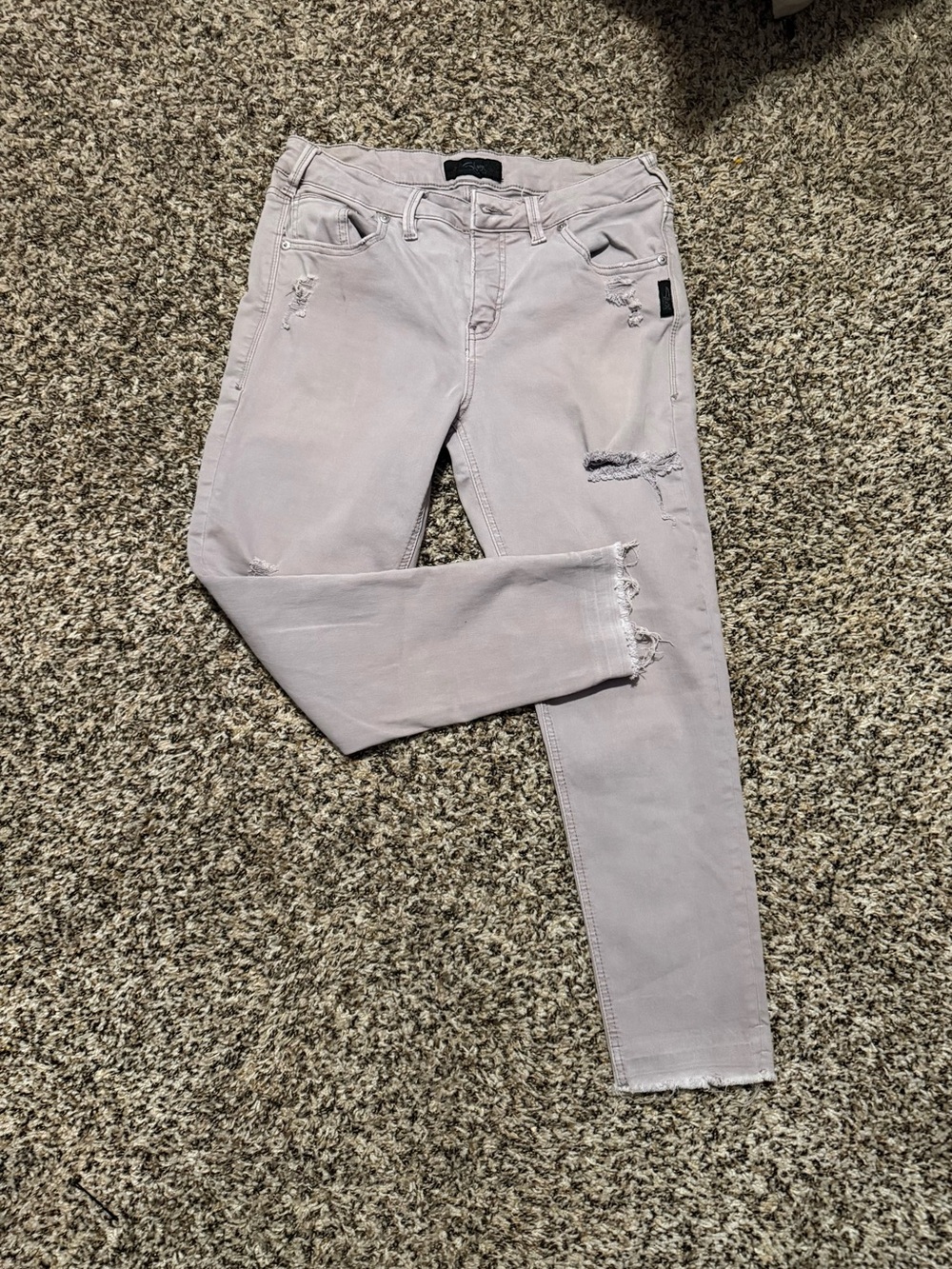 Silver Jeans Women's Mauve Skinny Distressed Ankle Jeans